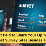 Top Paid Surveys