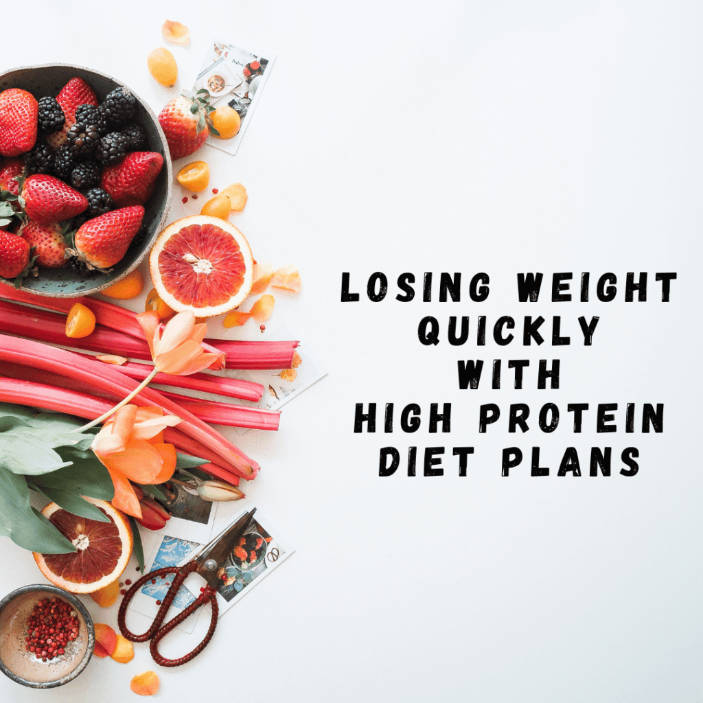 high protein diet plans quicky weight lose