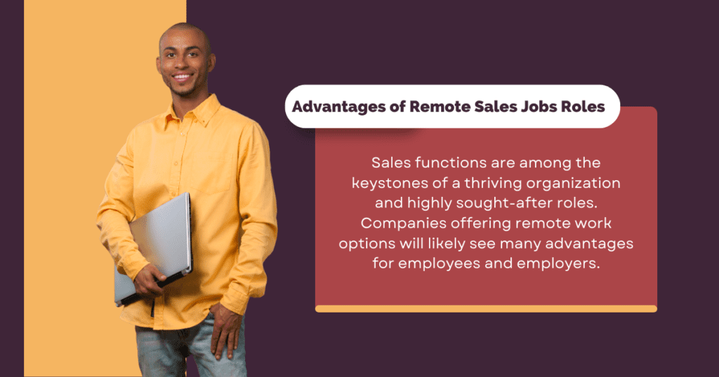 Advantage of remote sales job